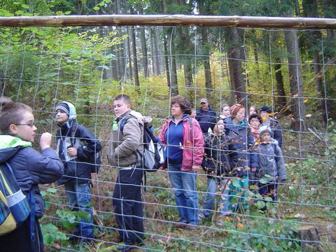 W drodze do Bystrzycy K�odzkiej