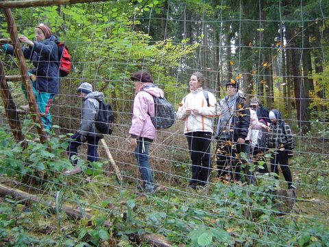 W drodze do Bystrzycy K�odzkiej