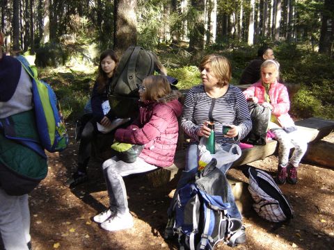 Kamienna G�ra s020 - PTTK Strzelin