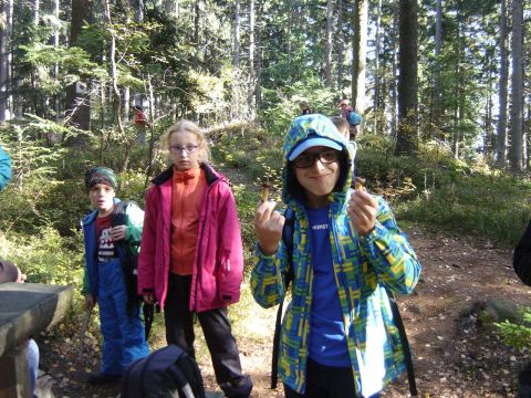 Kamienna G�ra s022 - PTTK Strzelin