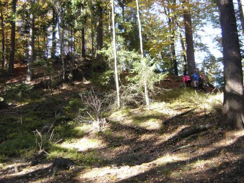 Podej�cie na ruiny fortu s042 - PTTK Strzelin