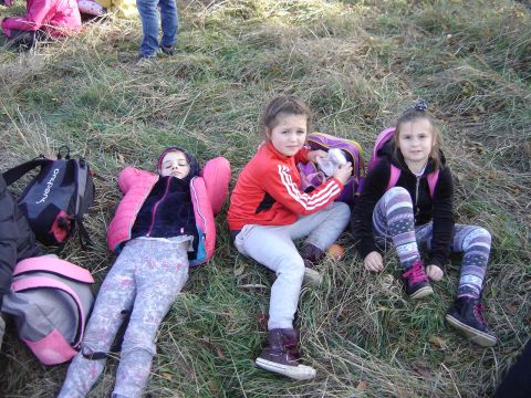 Zej�cie z Wolarza do Szczytnej s054 - PTTK Strzelin