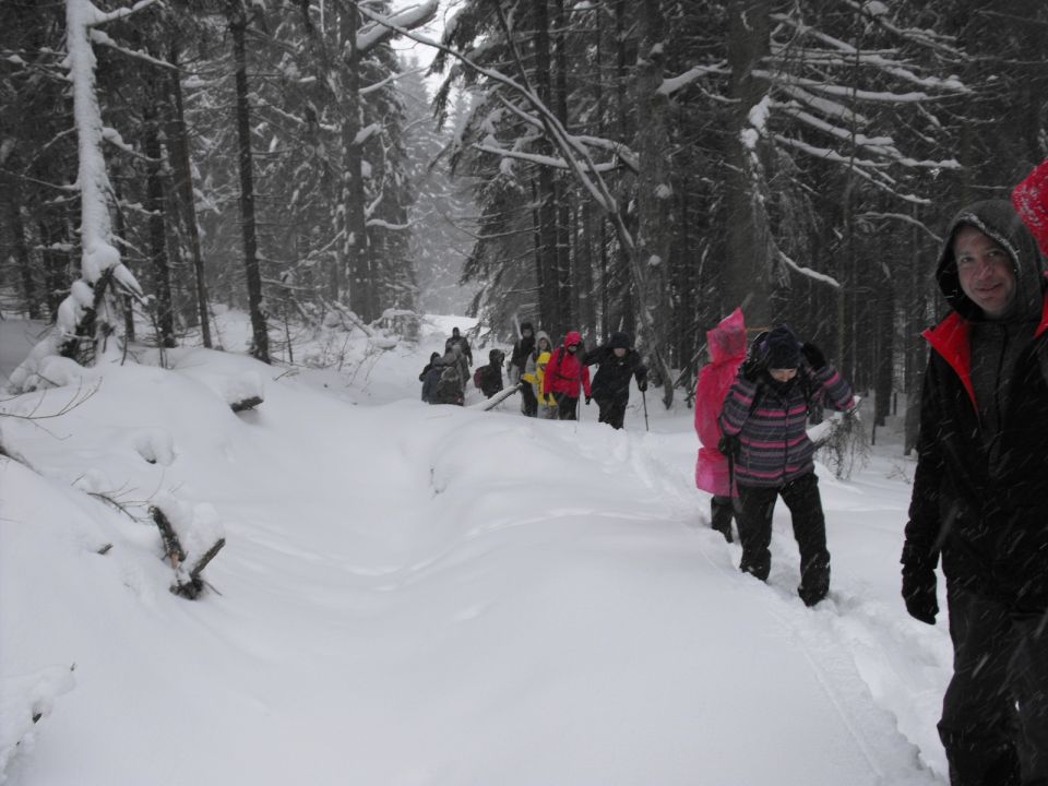 Wycieczka w Góry Bystrzyckie s002 - PTTK Strzelin