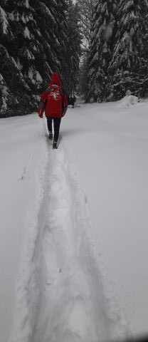 Wycieczka w Góry Bystrzyckie s17 - PTTK Strzelin