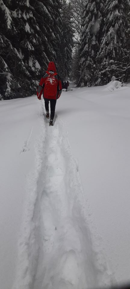 Wycieczka w Góry Bystrzyckie s002 - PTTK Strzelin