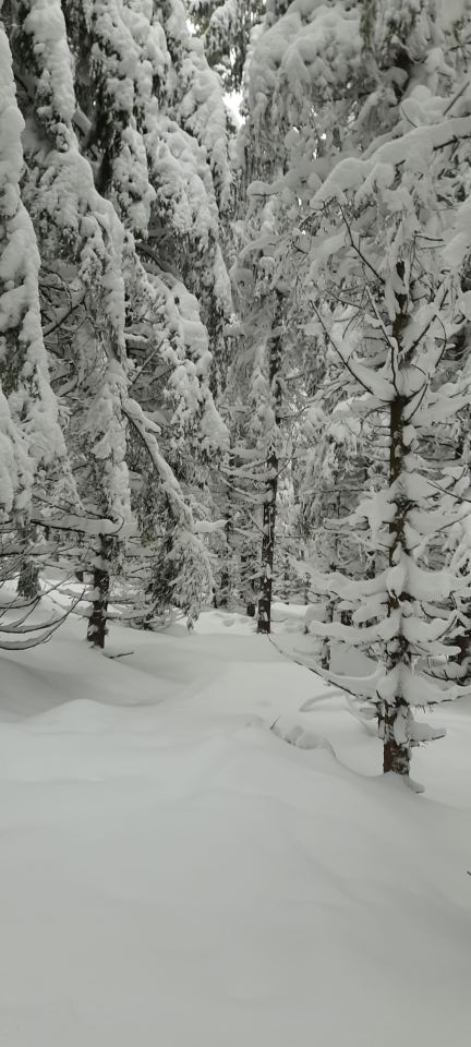 Wycieczka w Góry Bystrzyckie s002 - PTTK Strzelin