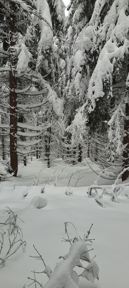 Wycieczka w Góry Bystrzyckie s002 - PTTK Strzelin