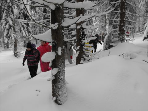 Wycieczka w Góry Bystrzyckie s21 - PTTK Strzelin