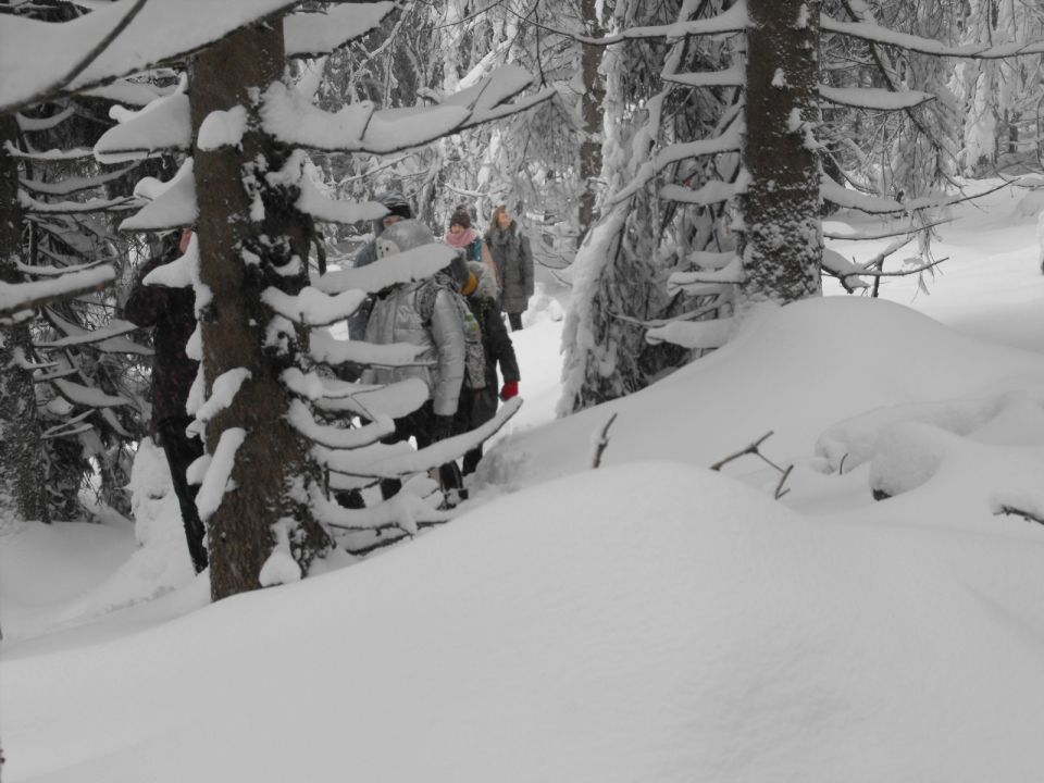 Wycieczka w Góry Bystrzyckie s002 - PTTK Strzelin
