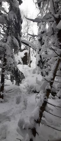 Wycieczka w Góry Bystrzyckie s24 - PTTK Strzelin