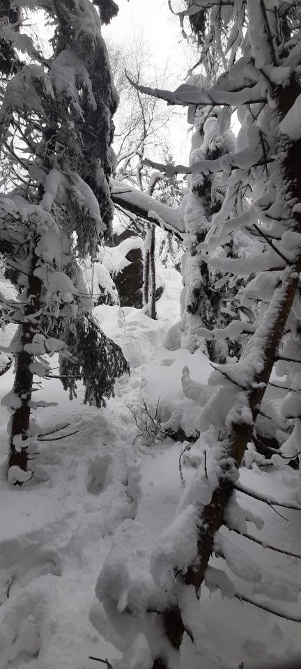 Wycieczka w Góry Bystrzyckie s002 - PTTK Strzelin