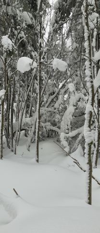 Wycieczka w Góry Bystrzyckie s25 - PTTK Strzelin