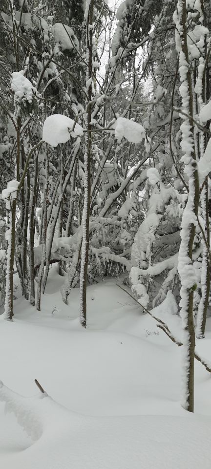Wycieczka w Góry Bystrzyckie s002 - PTTK Strzelin