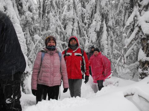 Wycieczka w Góry Bystrzyckie s26 - PTTK Strzelin