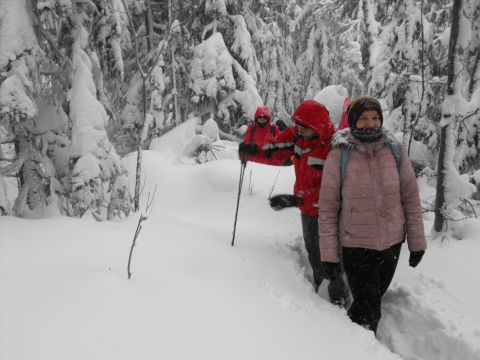 Wycieczka w Góry Bystrzyckie s27 - PTTK Strzelin