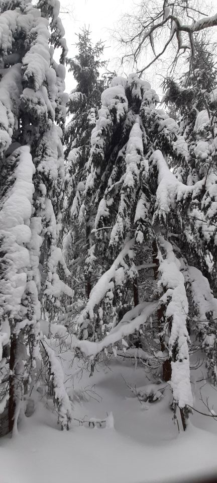 Wycieczka w Góry Bystrzyckie s002 - PTTK Strzelin