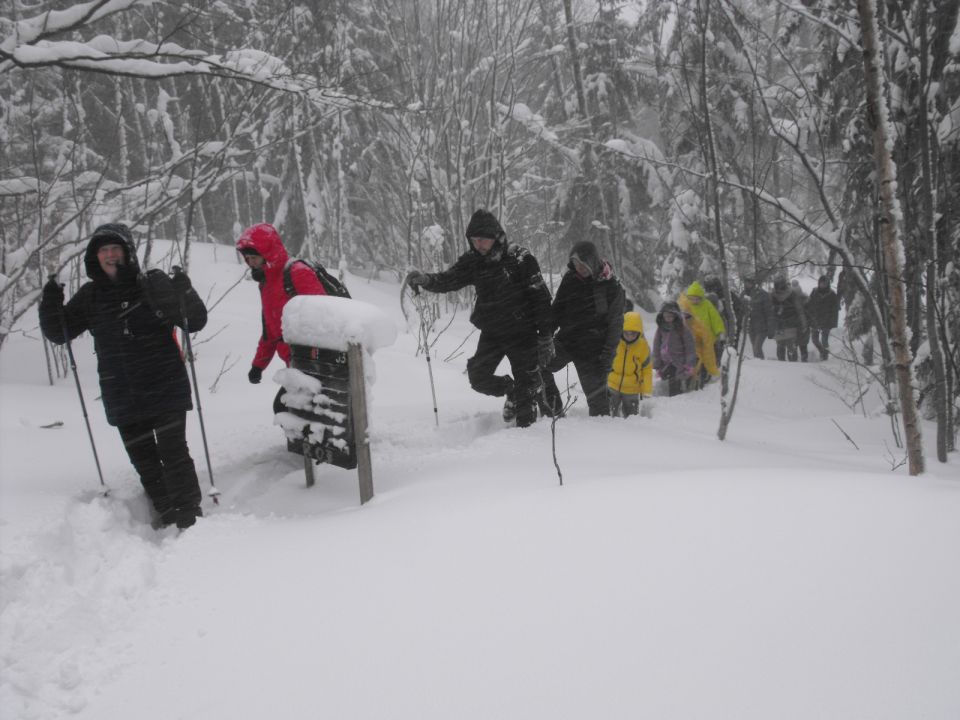 Wycieczka w Góry Bystrzyckie s002 - PTTK Strzelin