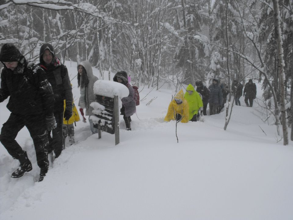 Wycieczka w Góry Bystrzyckie s002 - PTTK Strzelin