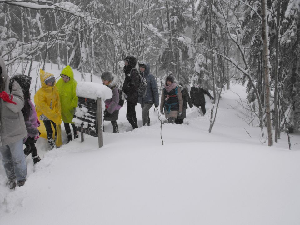 Wycieczka w Góry Bystrzyckie s002 - PTTK Strzelin