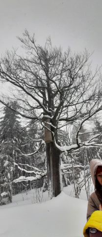 Wycieczka w Góry Bystrzyckie s34 - PTTK Strzelin