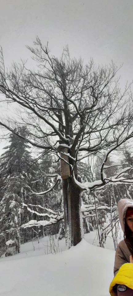 Wycieczka w Góry Bystrzyckie s002 - PTTK Strzelin