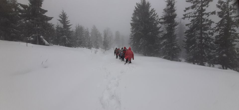 Wycieczka w Góry Bystrzyckie s002 - PTTK Strzelin