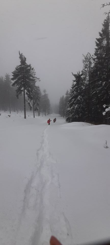 Wycieczka w Góry Bystrzyckie s002 - PTTK Strzelin