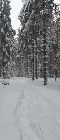Wycieczka w Góry Bystrzyckie s41 - PTTK Strzelin