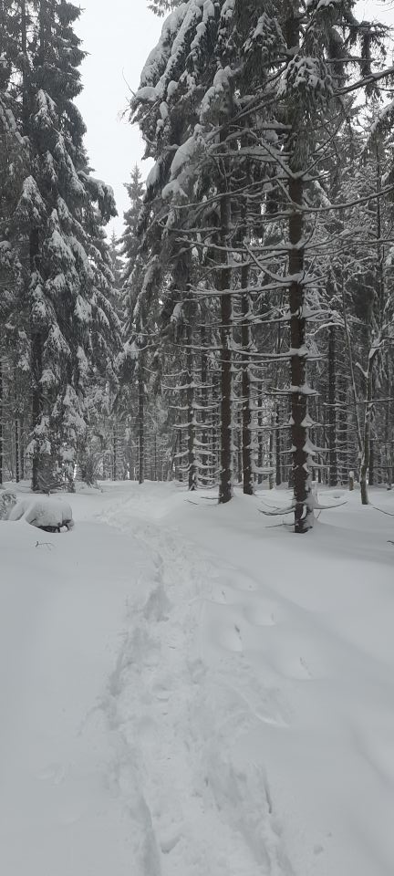Wycieczka w Góry Bystrzyckie s002 - PTTK Strzelin
