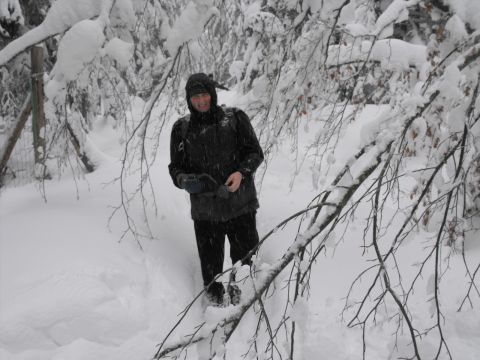 Wycieczka w Góry Bystrzyckie s43 - PTTK Strzelin