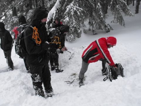 Wycieczka w Góry Bystrzyckie s45 - PTTK Strzelin
