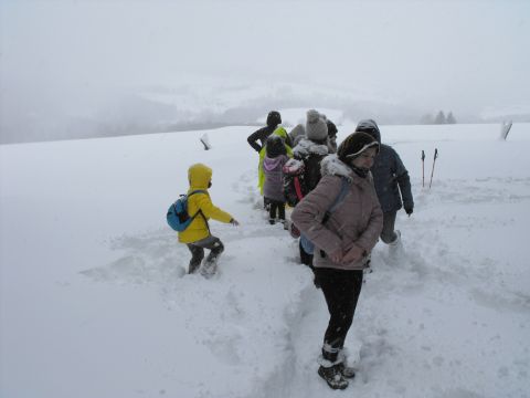 Wycieczka w Góry Bystrzyckie s46 - PTTK Strzelin
