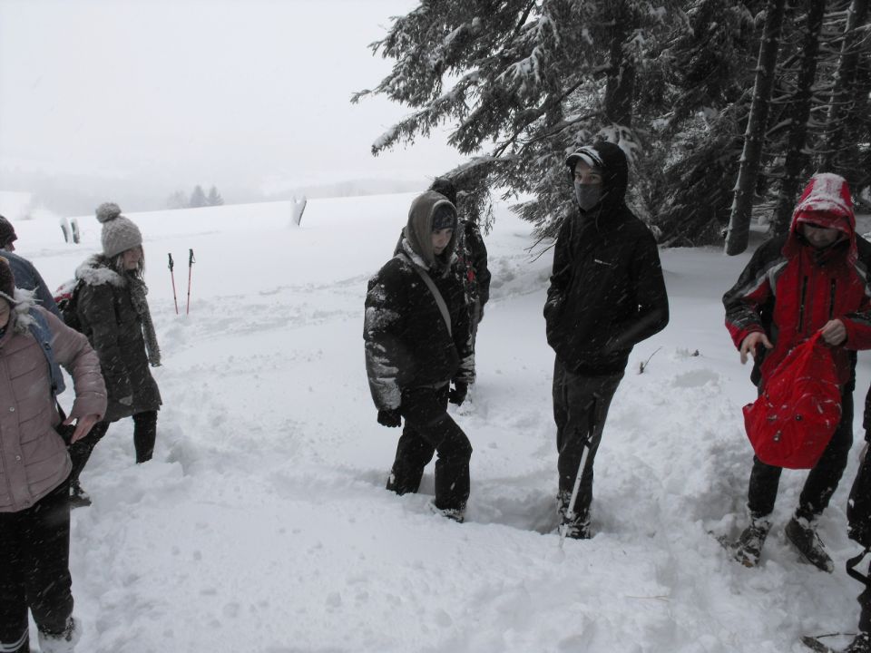 Wycieczka w Góry Bystrzyckie s002 - PTTK Strzelin