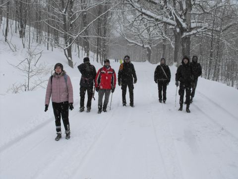 Wycieczka w Góry Bystrzyckie s67 - PTTK Strzelin