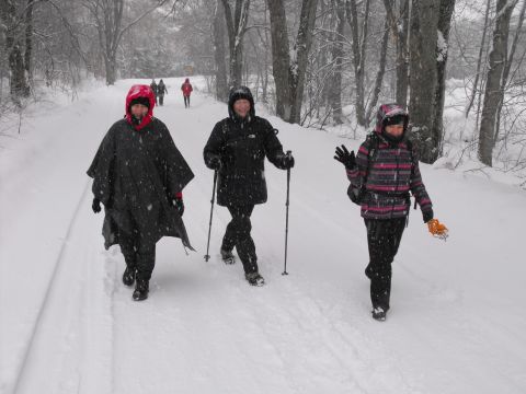 Wycieczka w Góry Bystrzyckie s71 - PTTK Strzelin