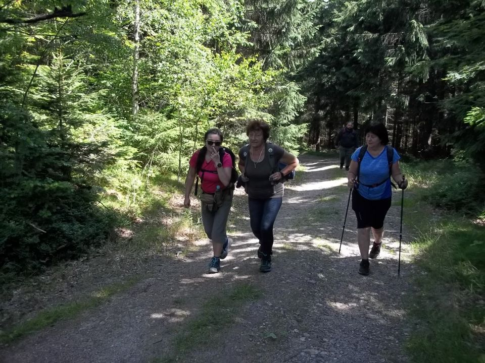 Wycieczka w Góry Bystrzyckie s002 - PTTK Strzelin