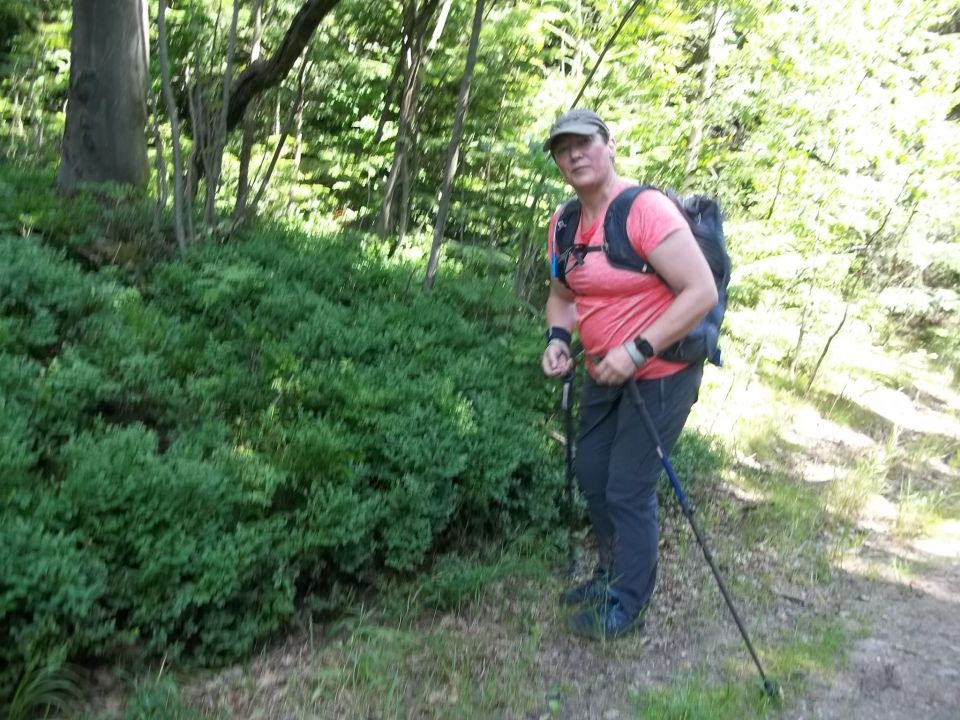 Wycieczka w Góry Bystrzyckie s002 - PTTK Strzelin