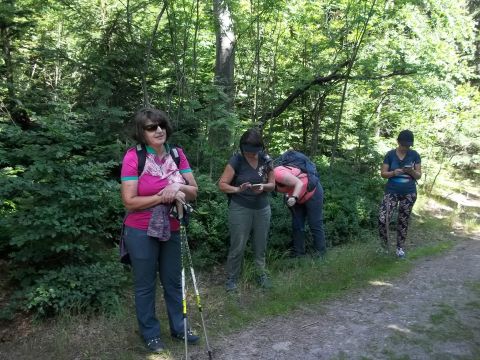Wycieczka w Góry Bystrzyckie s20 - PTTK Strzelin
