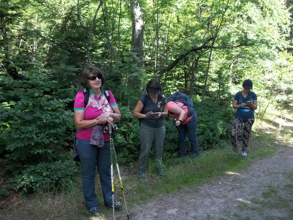 Wycieczka w Góry Bystrzyckie s002 - PTTK Strzelin