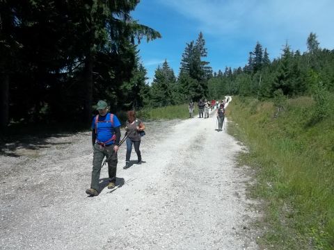 Wycieczka w Góry Bystrzyckie s21 - PTTK Strzelin