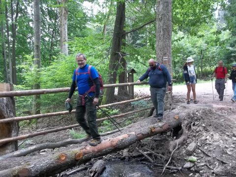 Wycieczka w Góry Bystrzyckie s41 - PTTK Strzelin