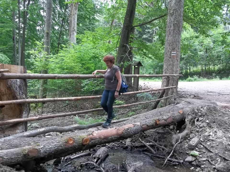 Wycieczka w Góry Bystrzyckie s002 - PTTK Strzelin