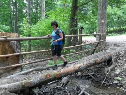 Wycieczka w Góry Bystrzyckie s44 - PTTK Strzelin