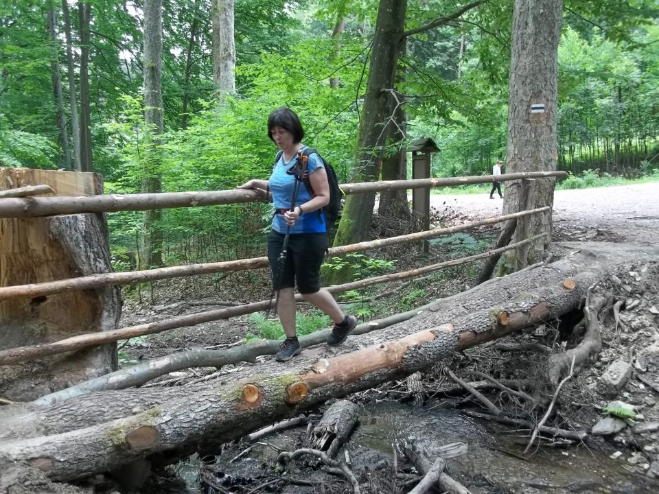 Wycieczka w Góry Bystrzyckie s002 - PTTK Strzelin