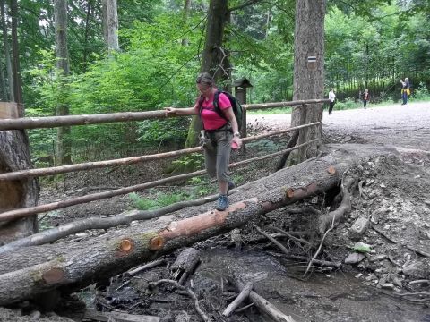 Wycieczka w Góry Bystrzyckie s45 - PTTK Strzelin