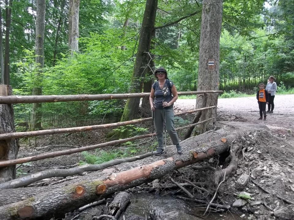 Wycieczka w Góry Bystrzyckie s002 - PTTK Strzelin