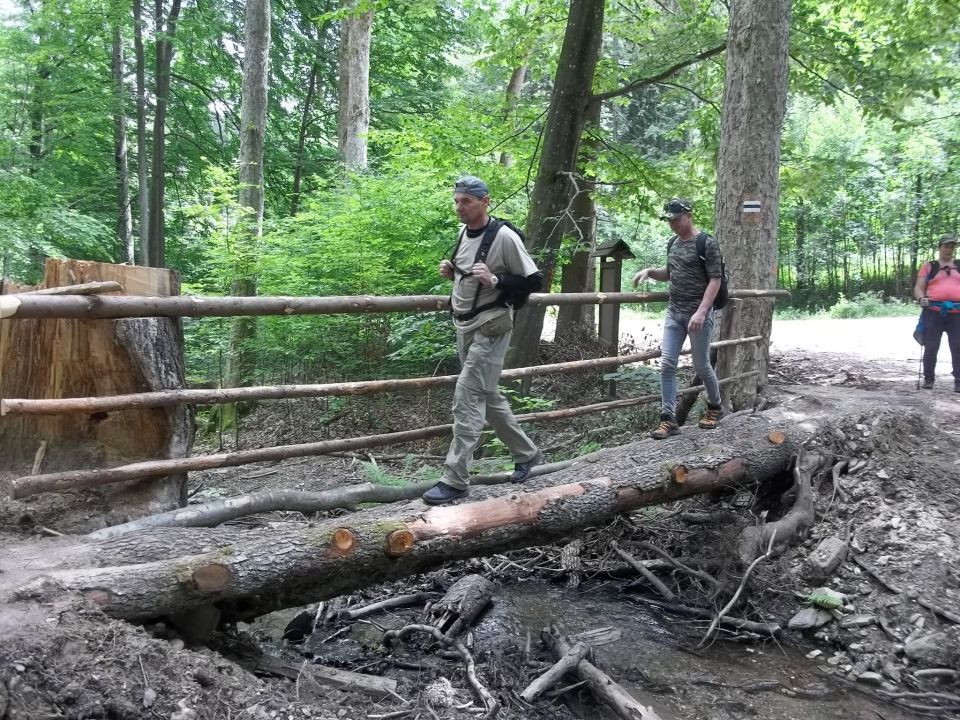 Wycieczka w Góry Bystrzyckie s002 - PTTK Strzelin