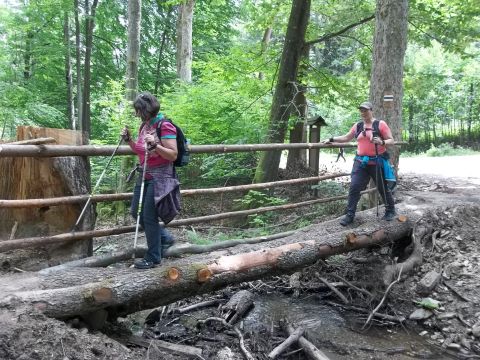 Wycieczka w Góry Bystrzyckie s48 - PTTK Strzelin