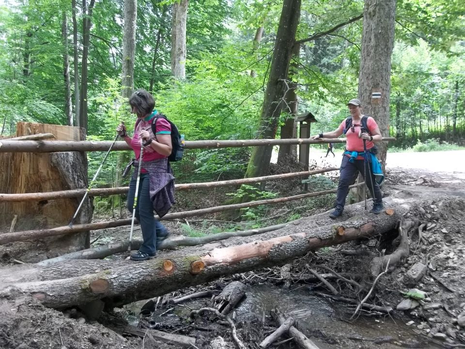 Wycieczka w Góry Bystrzyckie s002 - PTTK Strzelin