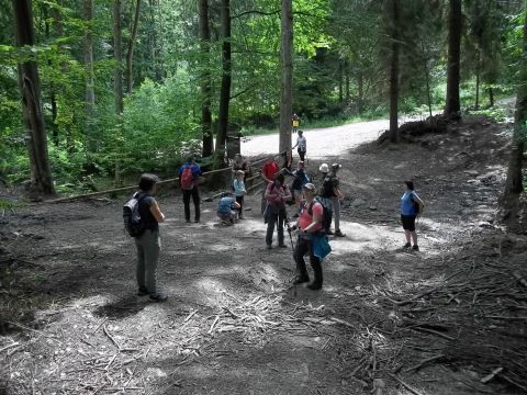 Wycieczka w Góry Bystrzyckie s50 - PTTK Strzelin